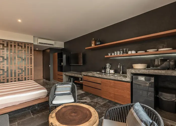 New Luxury Con Plunge Pool Privado Apartment Tulum